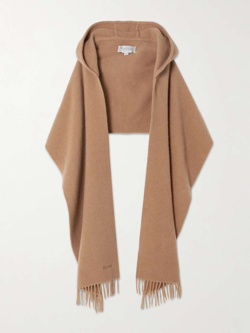 Max Mara Zena Fringed Embroidered Cashmere And Wool-blend Scarf
