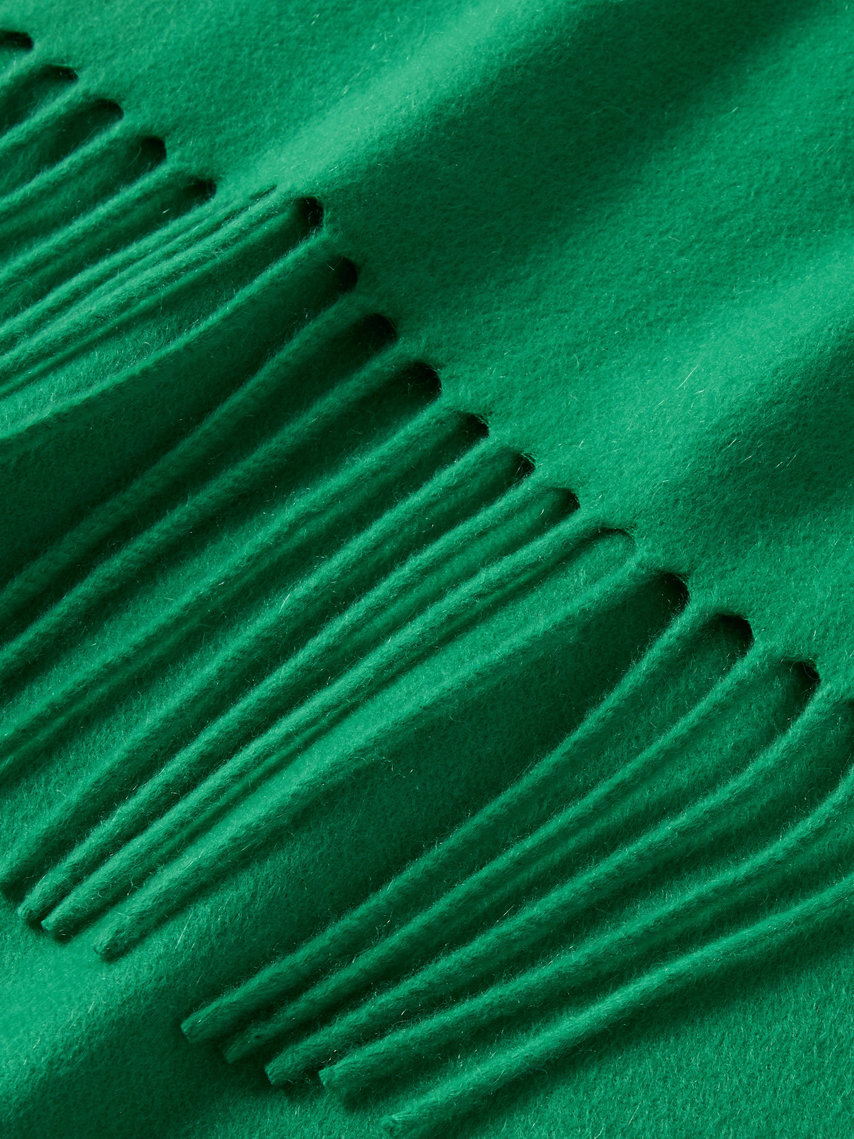 The Row Viktor Fringed Cashmere Scarf In Green