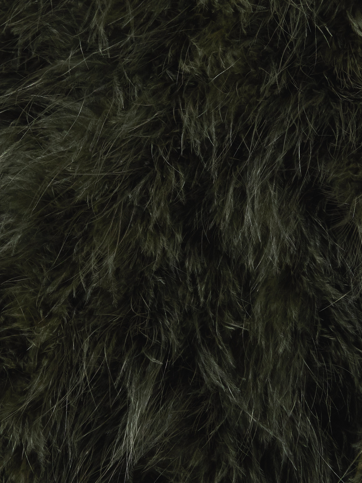 Cropped Feather Jacket