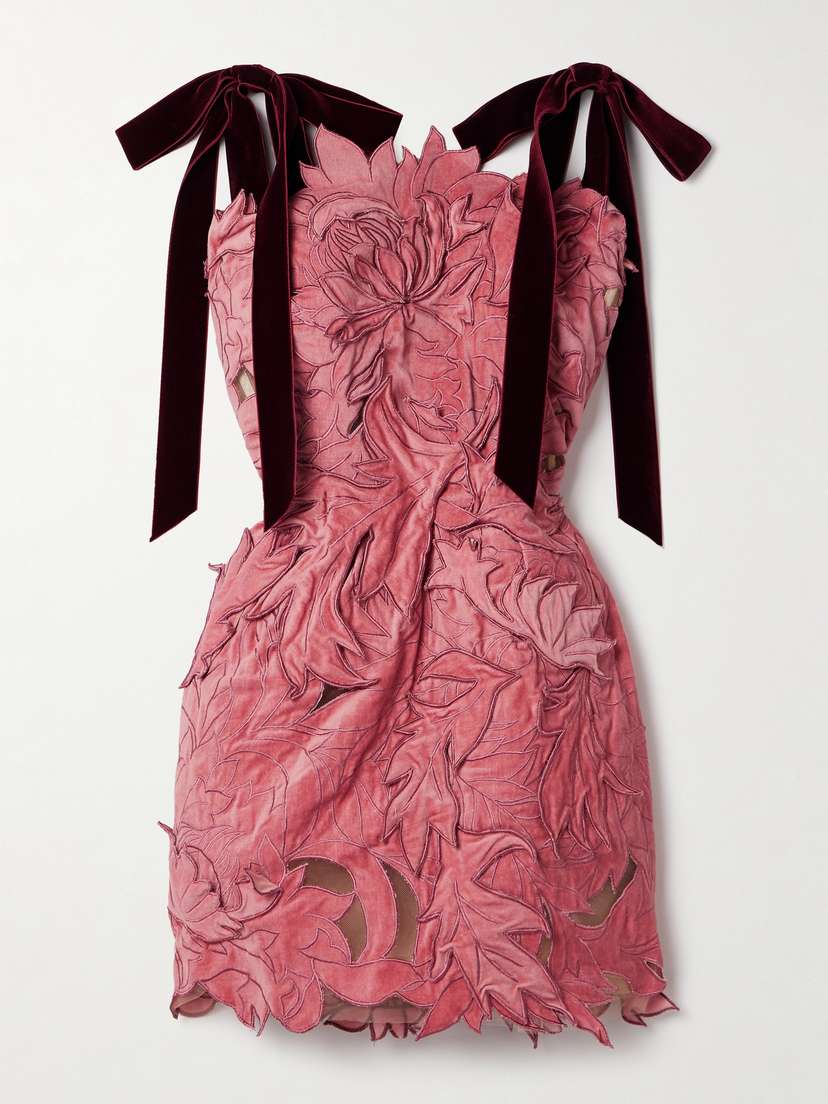 Oscar de la Renta Appliquéd Tulle Mini Dress