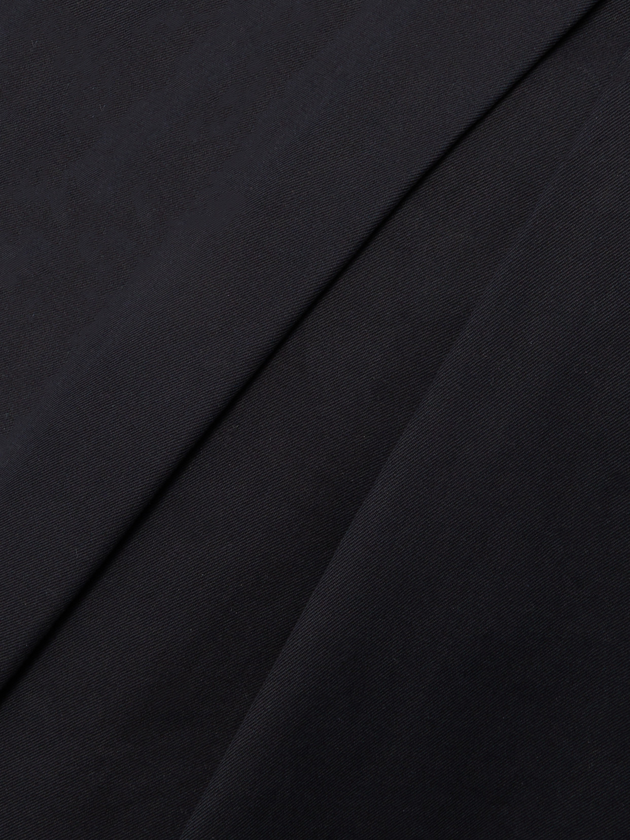Bottega Veneta Pleated Cotton-twill Wide-leg Pants In Blue