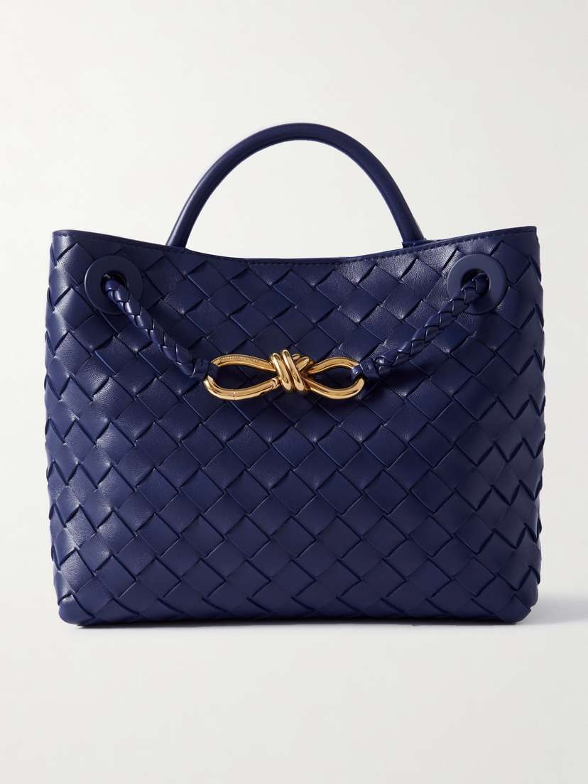 Bottega Veneta Andiamo Small Intrecciato Leather Tote