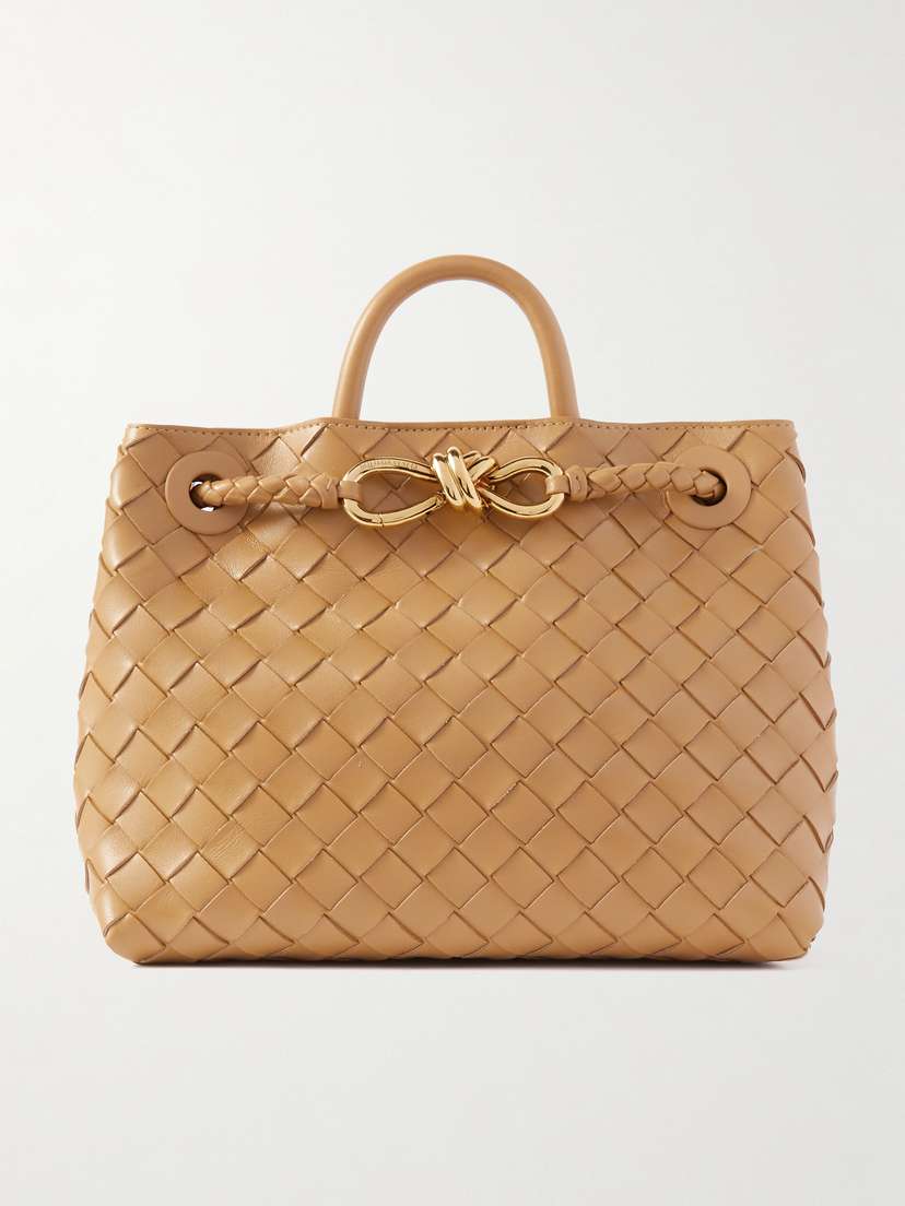Bottega Veneta Andiamo Small Intrecciato Leather Tote
