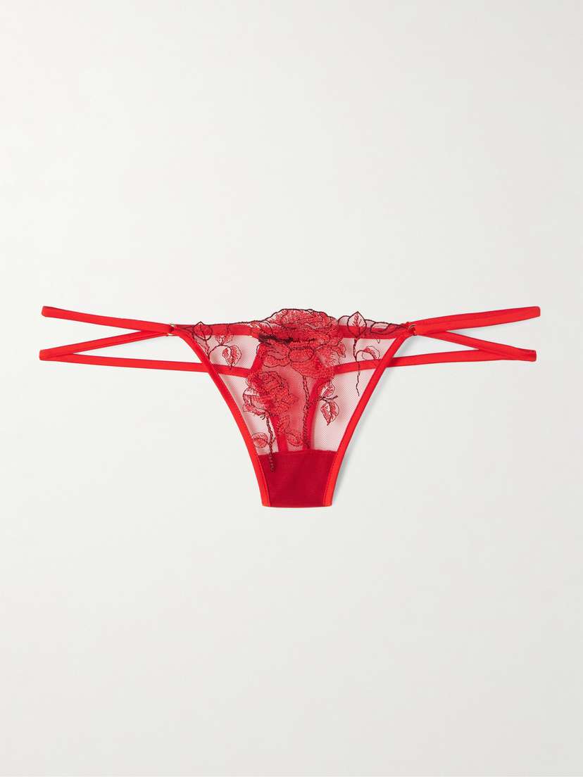 Kiki de Montparnasse Dominique Silk-blend Satin-trimmed Embroidered Tulle Thong