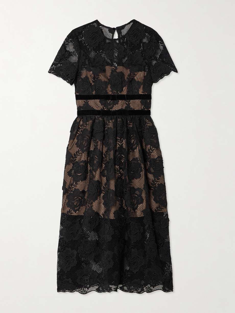 belted velvet-trimmed corded lace midi dress