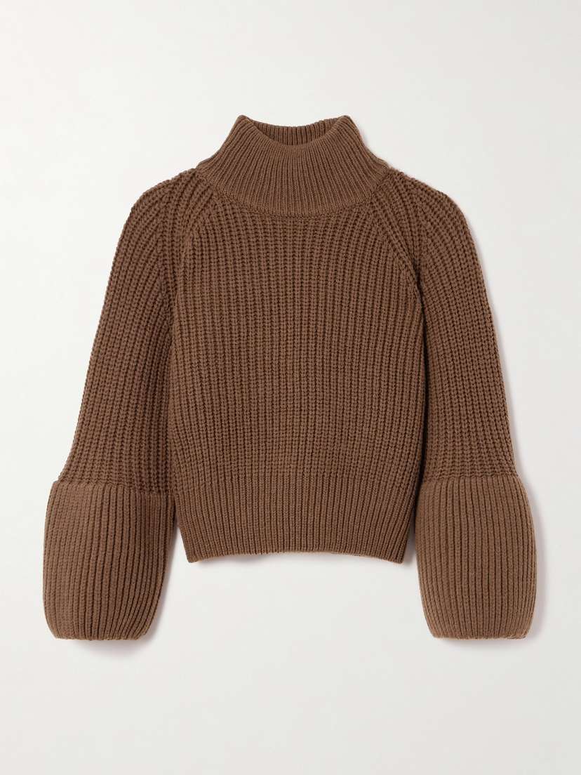 Dries Van Noten Teryn Ribbed-knit Wool Turtleneck Sweater