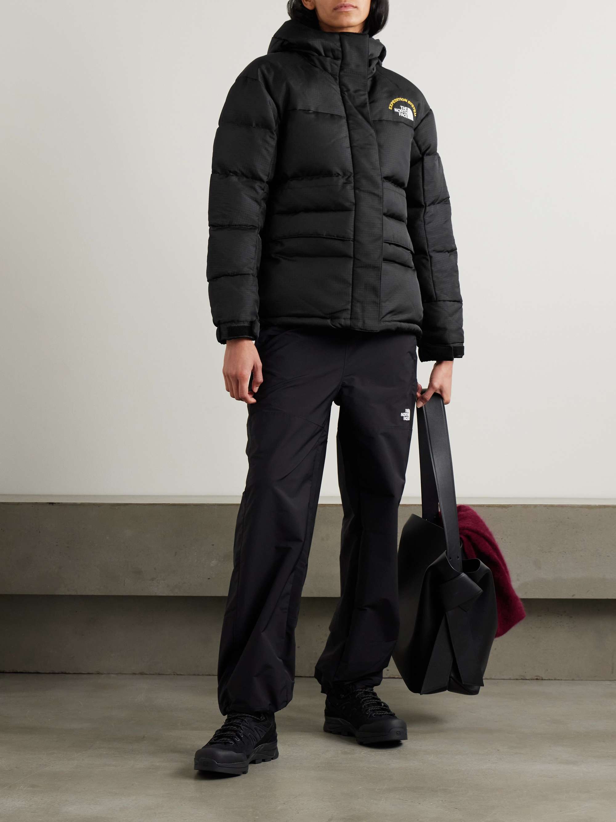 The north face jacket bag hotsell