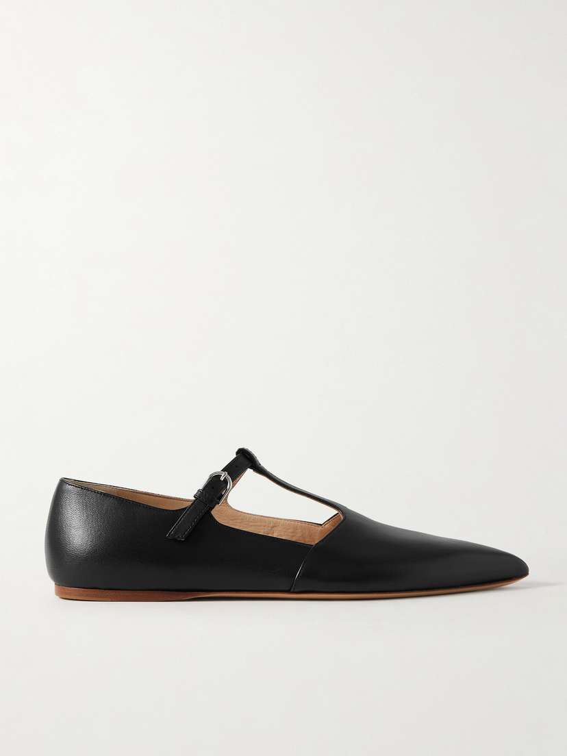 Gabriela Hearst Lola Ballerina Leather Mary Jane Point-toe Flats
