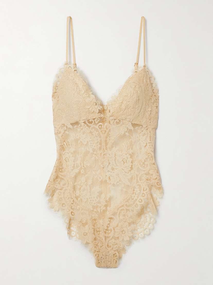 Zimmermann Illustration Velvet-trimmed Lace Bodysuit