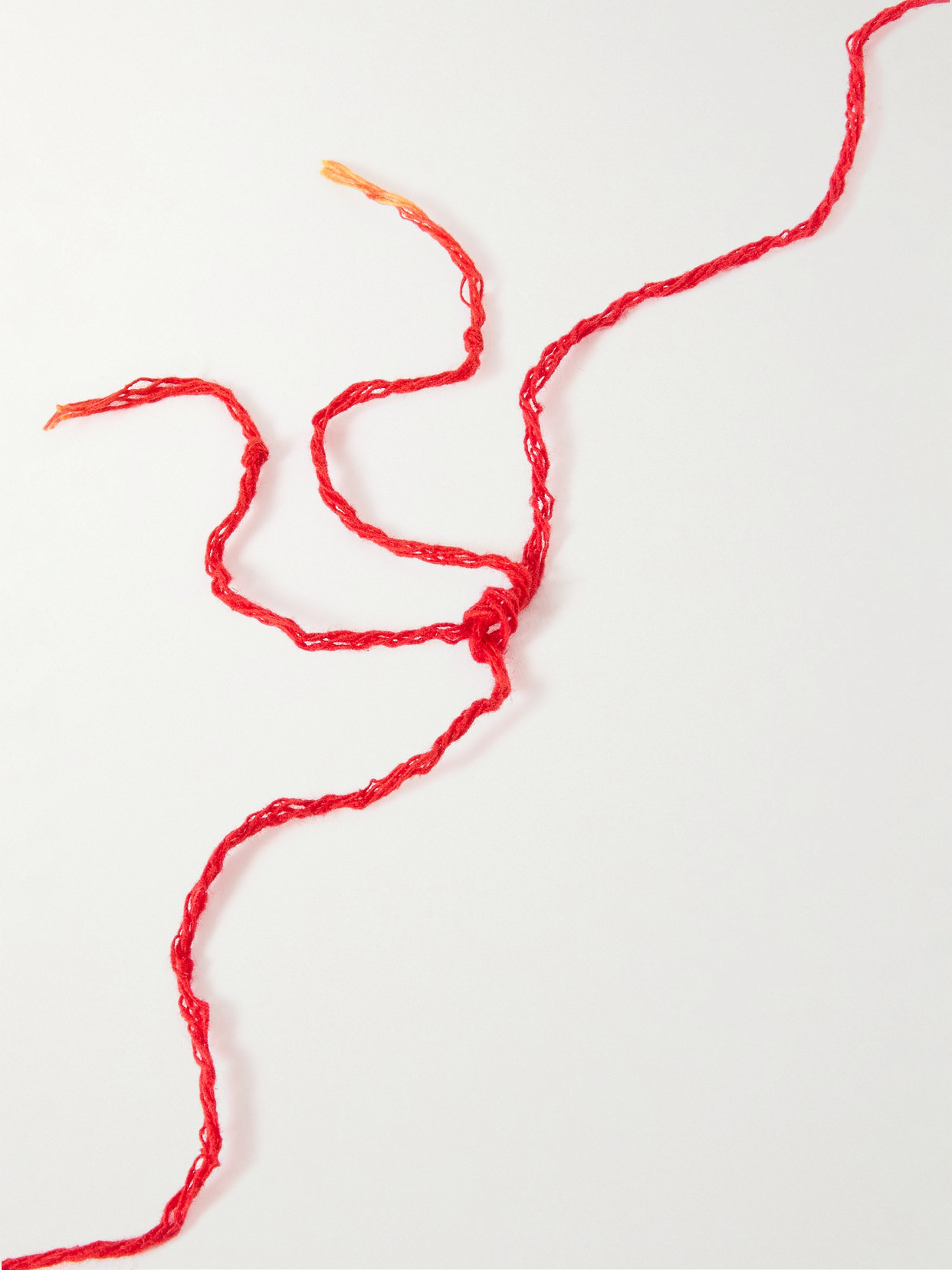 Alighieri The Catch Of The Day Gold-plated And Cord Necklace In Red