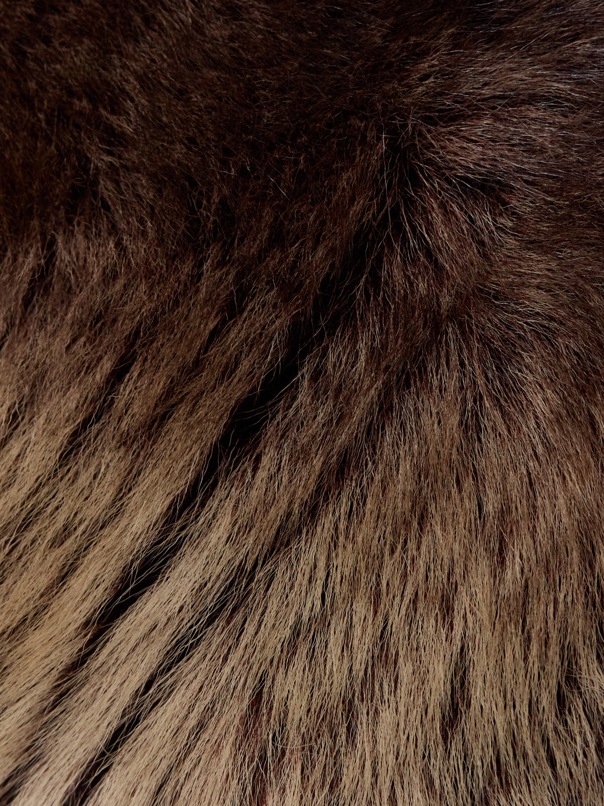 Saint Laurent Shearling Scarf In Brown