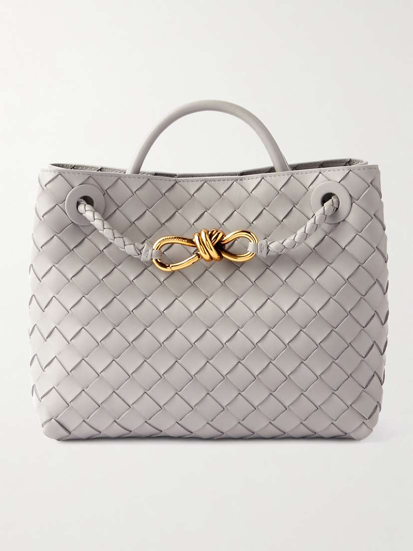 Bottega Veneta Andiamo Small Intrecciato Leather Tote