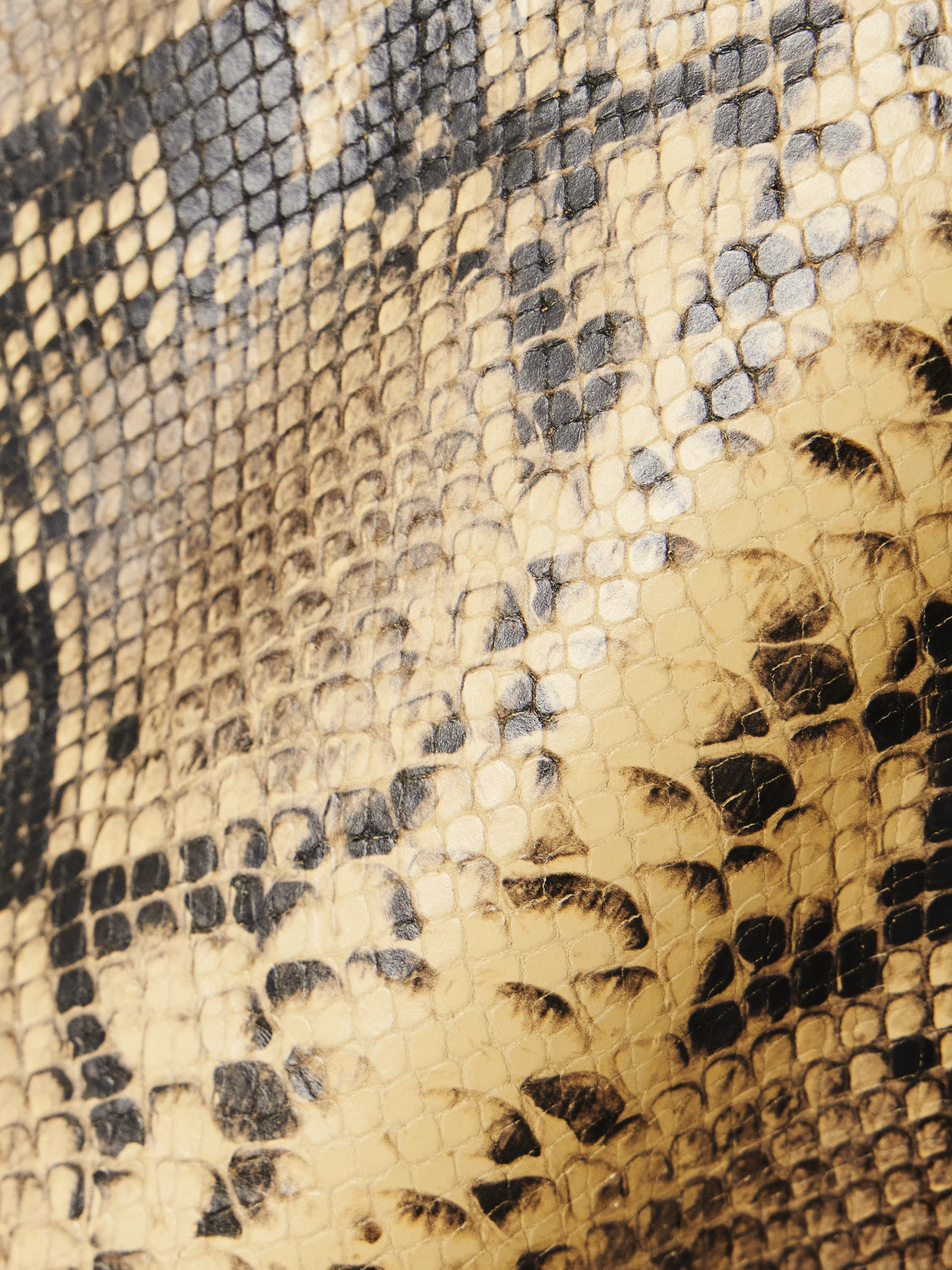 Dries Van Noten Snake-effect Leather Top In Animal Print