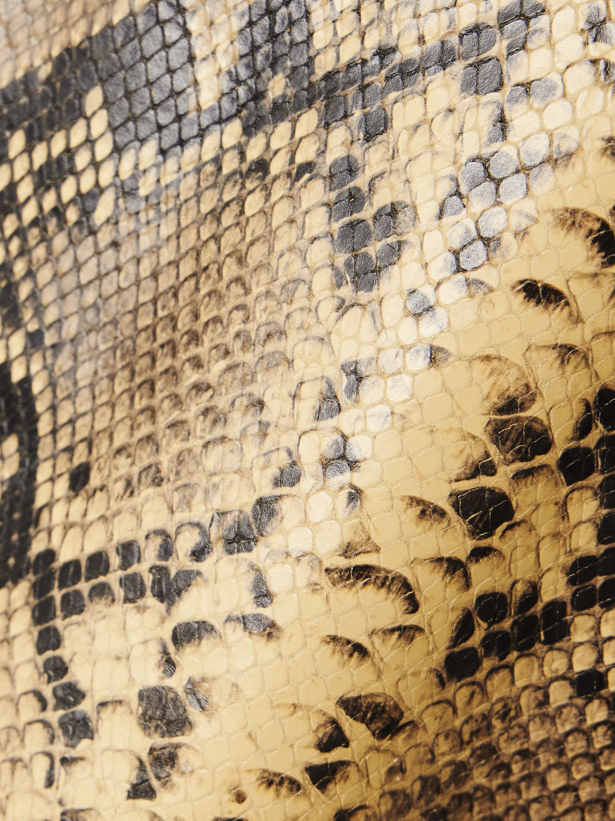 DRIES VAN NOTEN 
