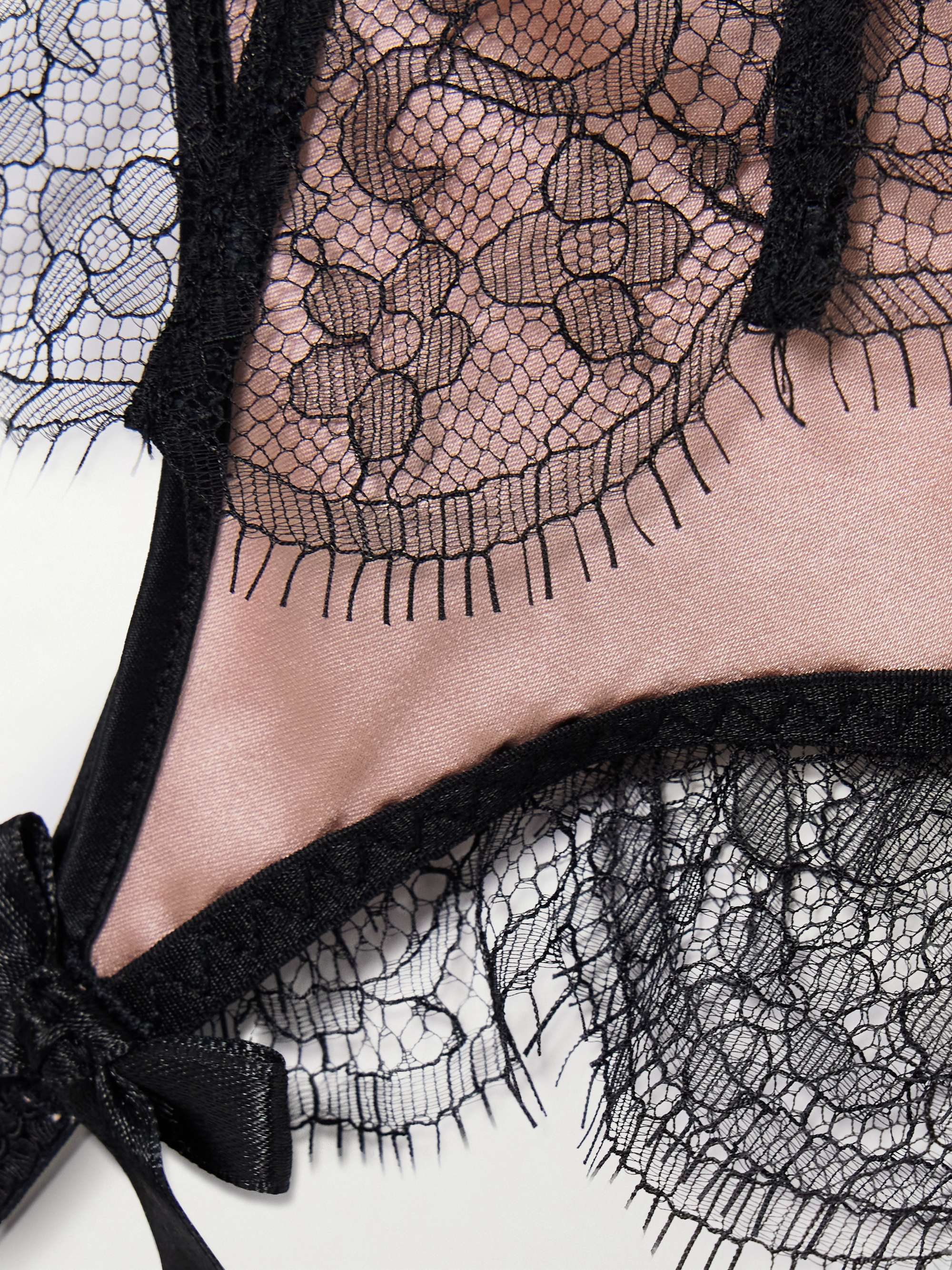 AGENT PROVOCATEUR 