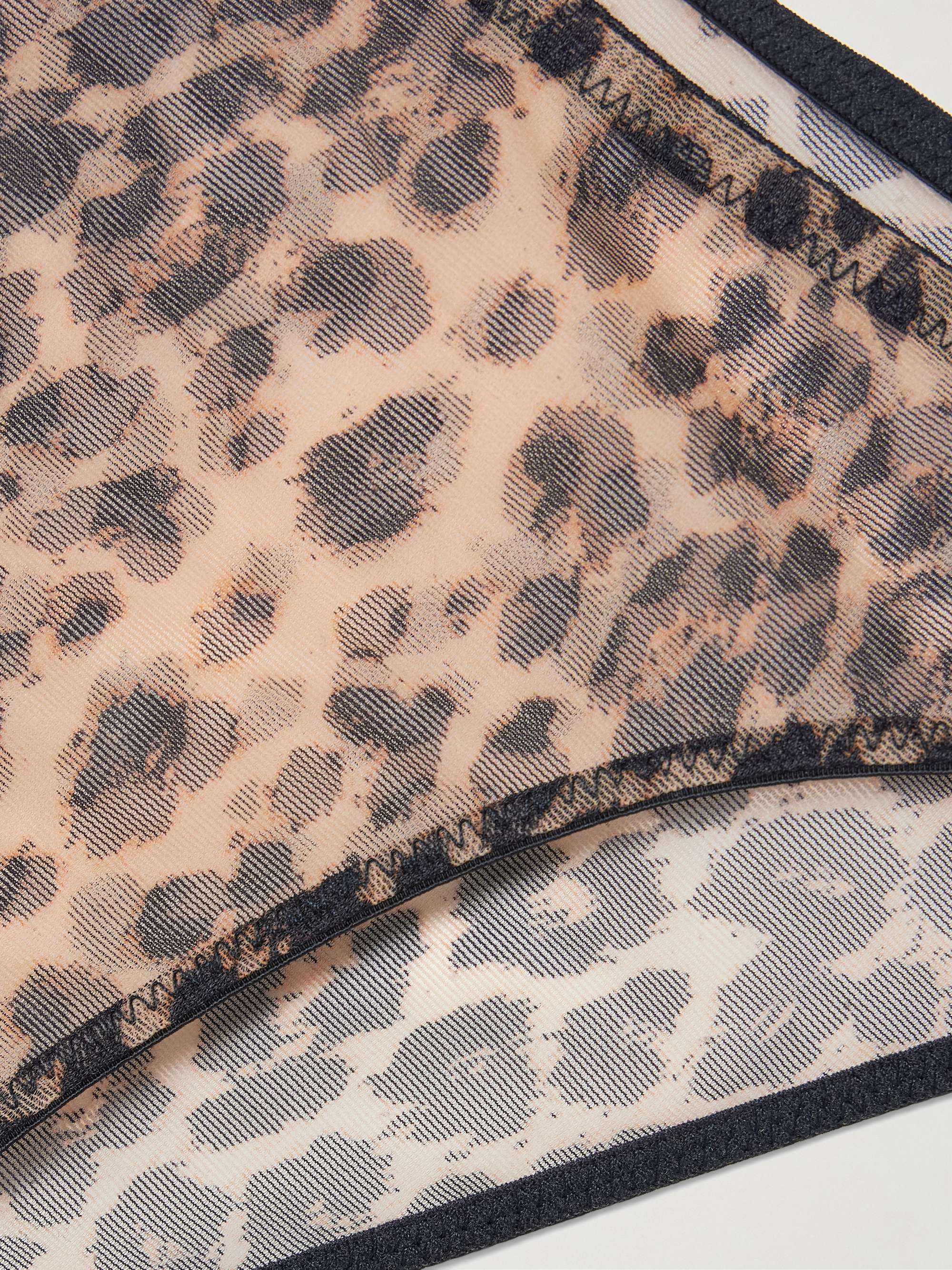 AGENT PROVOCATEUR 