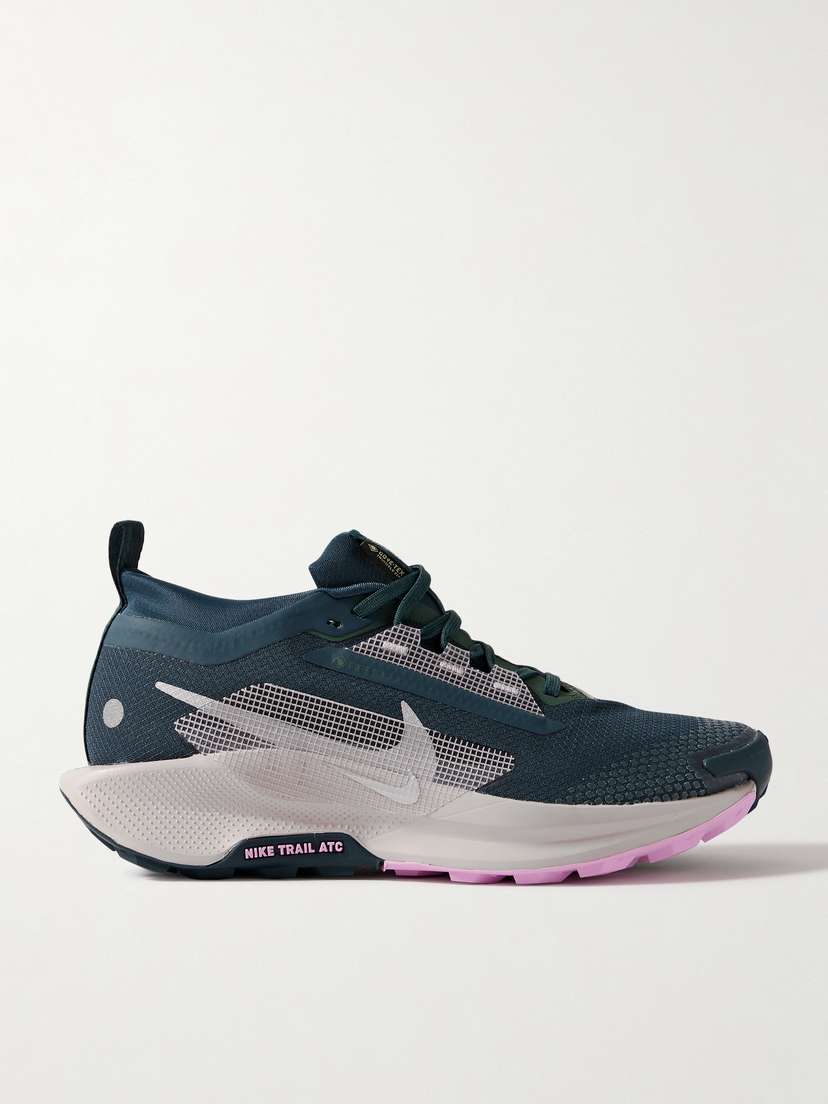 Nike Pegasus Trail 5 Embroidered Rubber-trimmed Gore-tex Sneakers