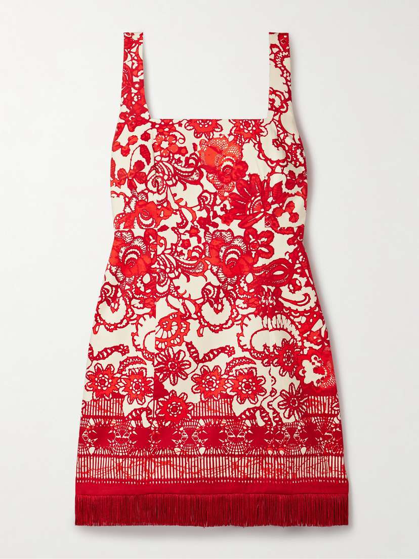 Cara Cara Anna Fringed Printed Cotton-blend Mini Dress - US0