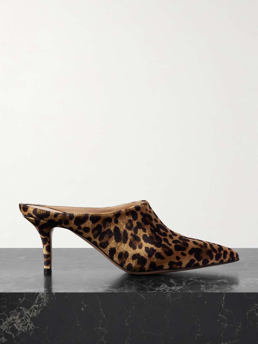 Gianvito Rossi 70 Leopard-print Velvet Point-toe Mules