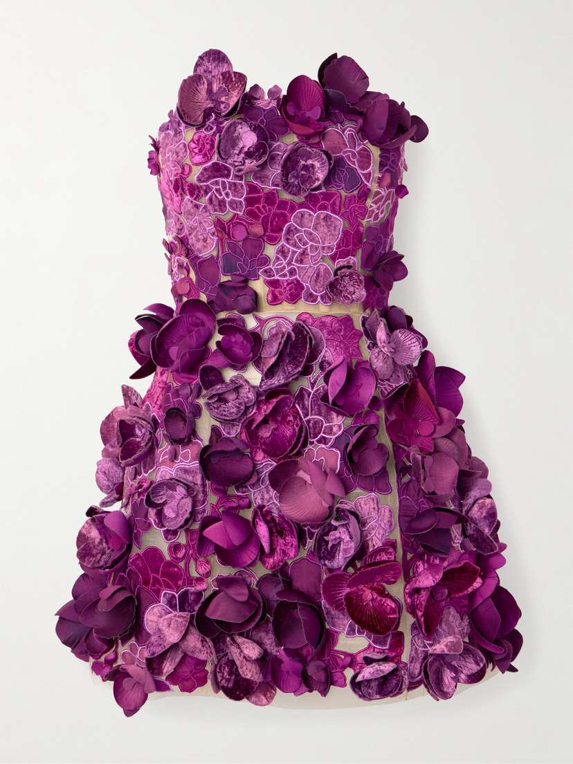 Oscar de la Renta Strapless Floral-appliquéd Mesh Mini Dress