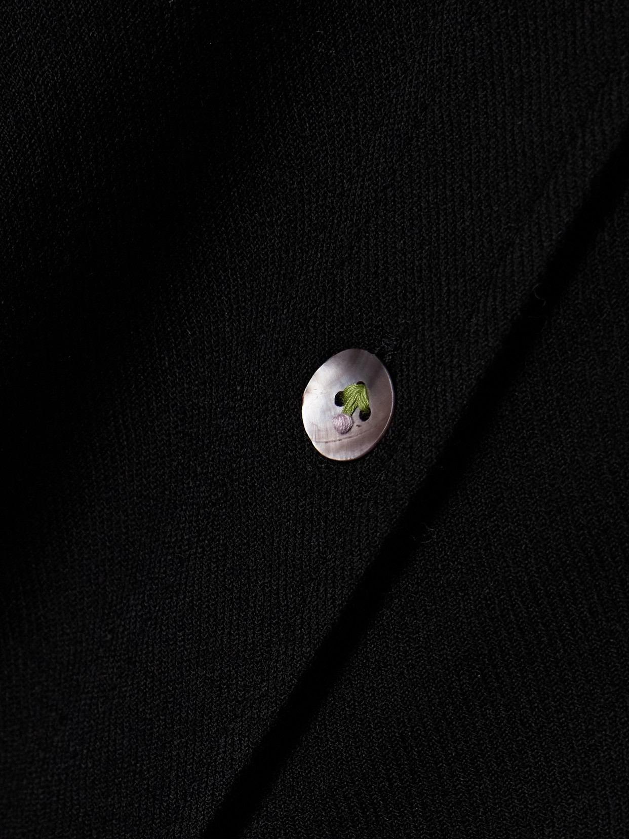 Alix Of Bohemia Dolly Embroidered Wool Shirt In Black