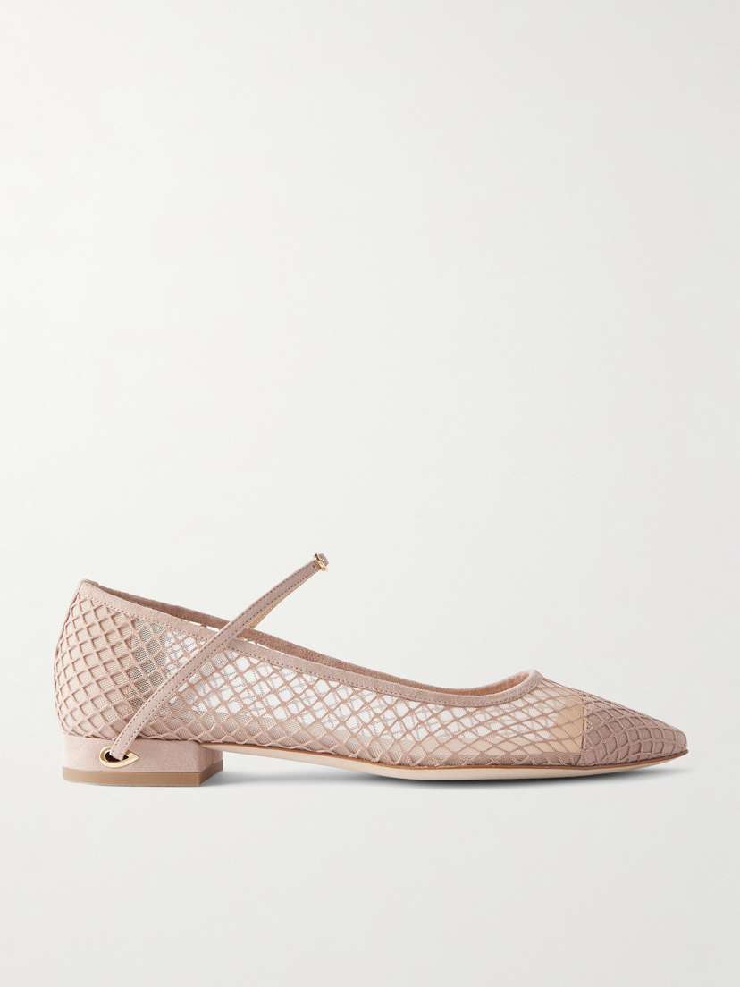 Jennifer Chamandi Lorenzo 20 Mesh And Suede Point-toe Flats