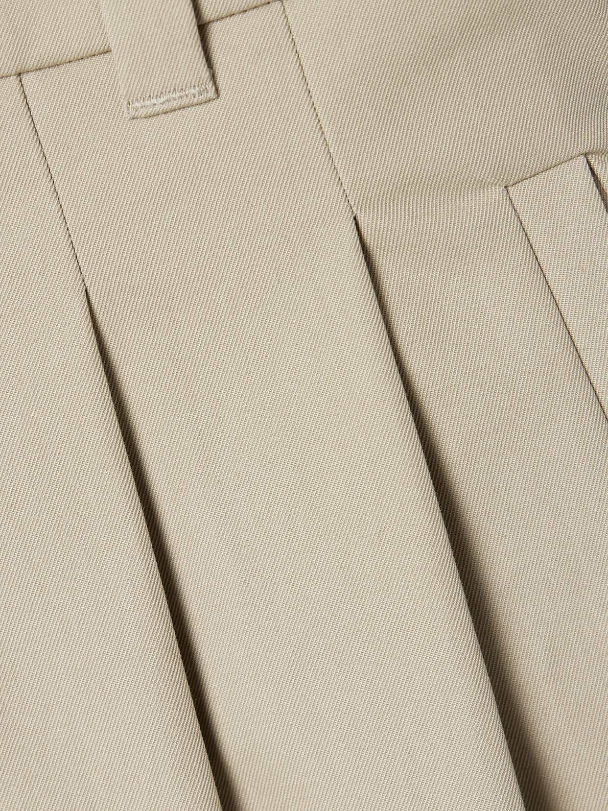 Altuzarra Mack Pleated Cotton-twill Maxi Skirt In Neutrals
