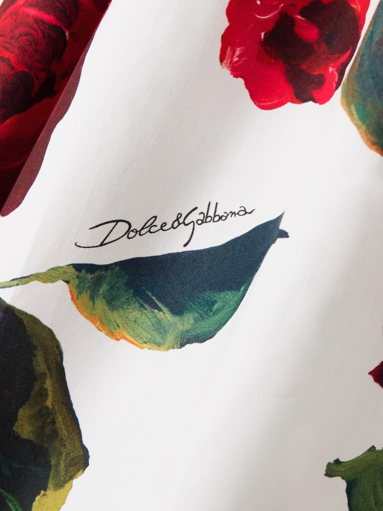 Dolce & Gabbana Rose Printed Poplin Midi Dress In Red