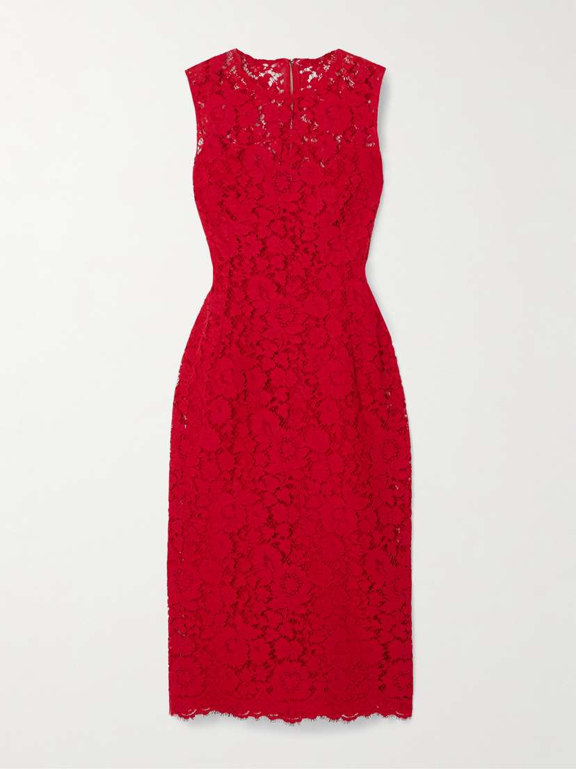 Dolce & Gabbana Cotton-blend Lace Dress