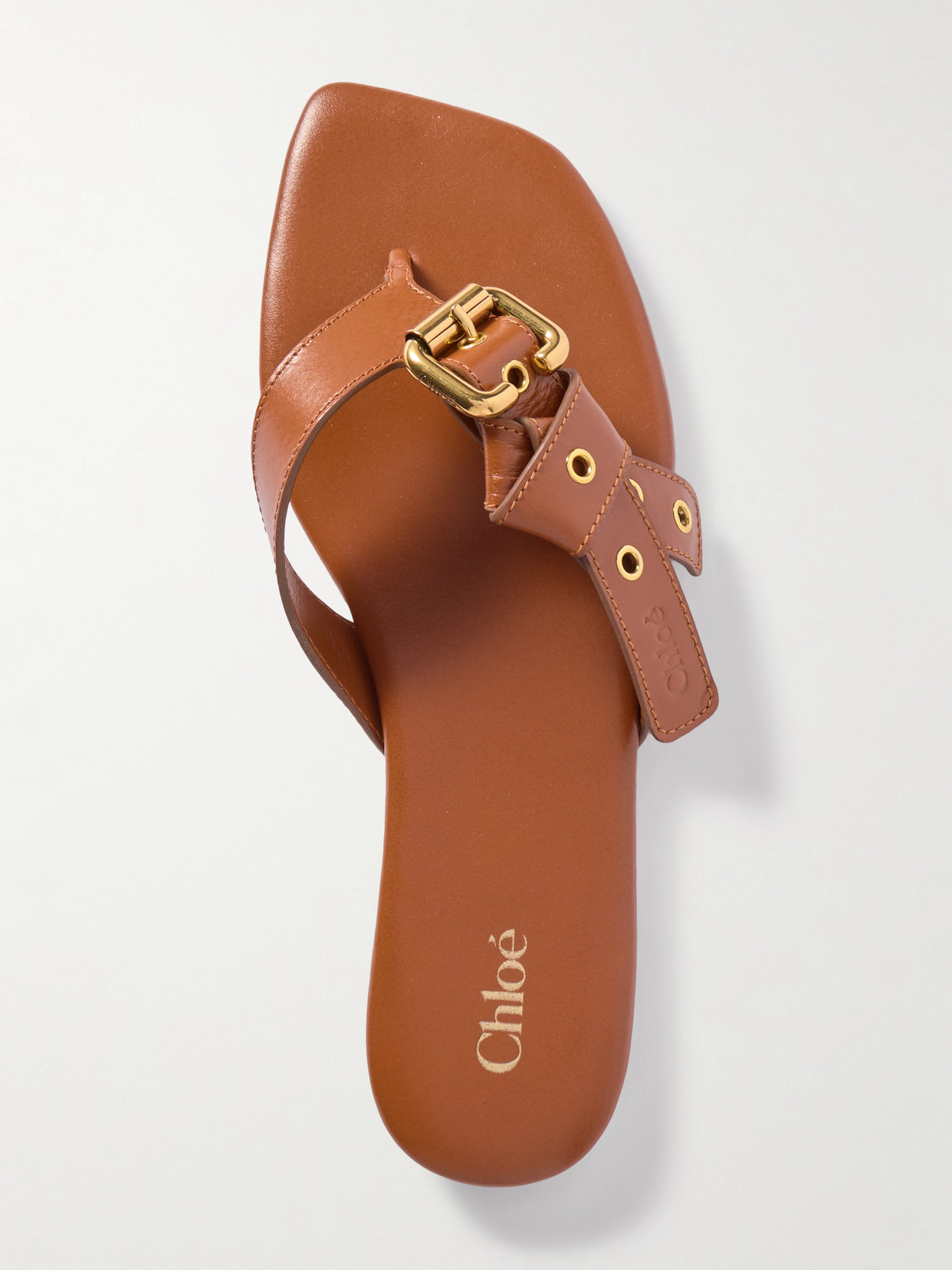 Chloé Mae Buckle-embellished Leather Slides In Brown