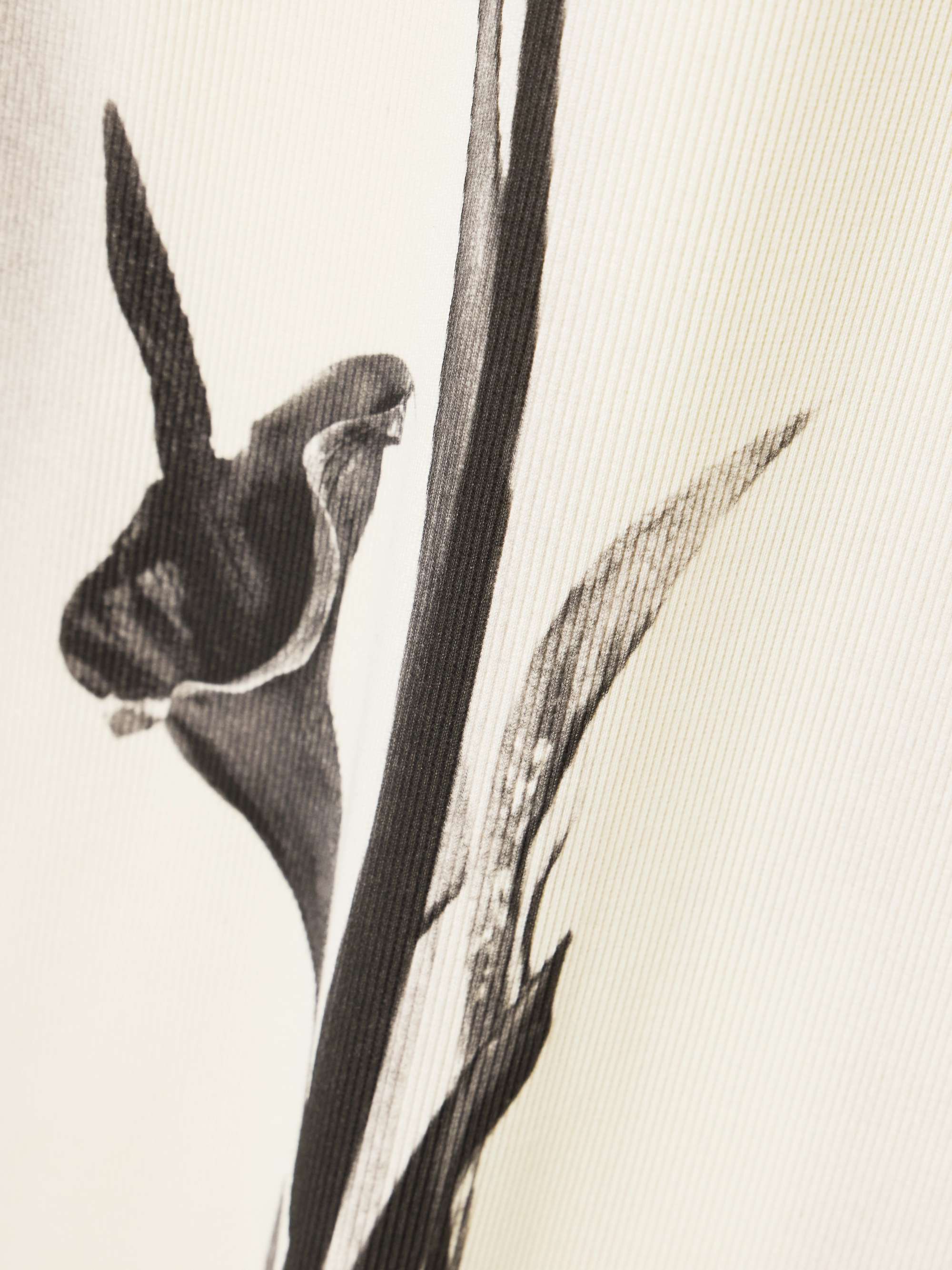 JEAN PAUL GAULTIER 