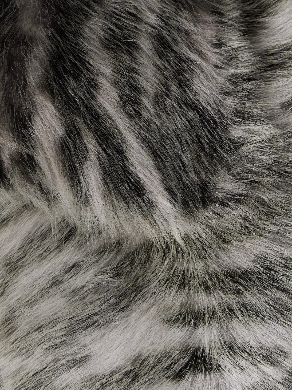 Dodo Bar Or Nia Zebra-print Shearling Bomber Jacket In Black
