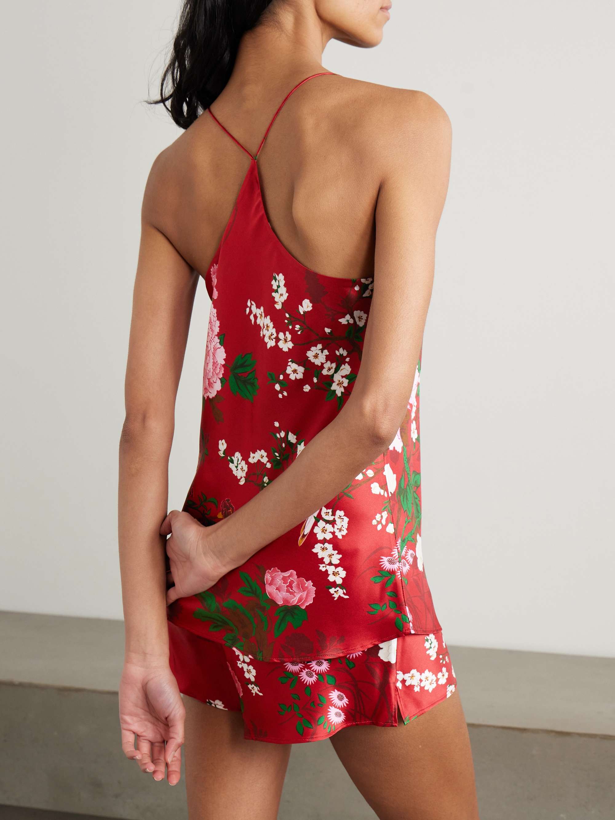 OLIVIA VON HALLE 
