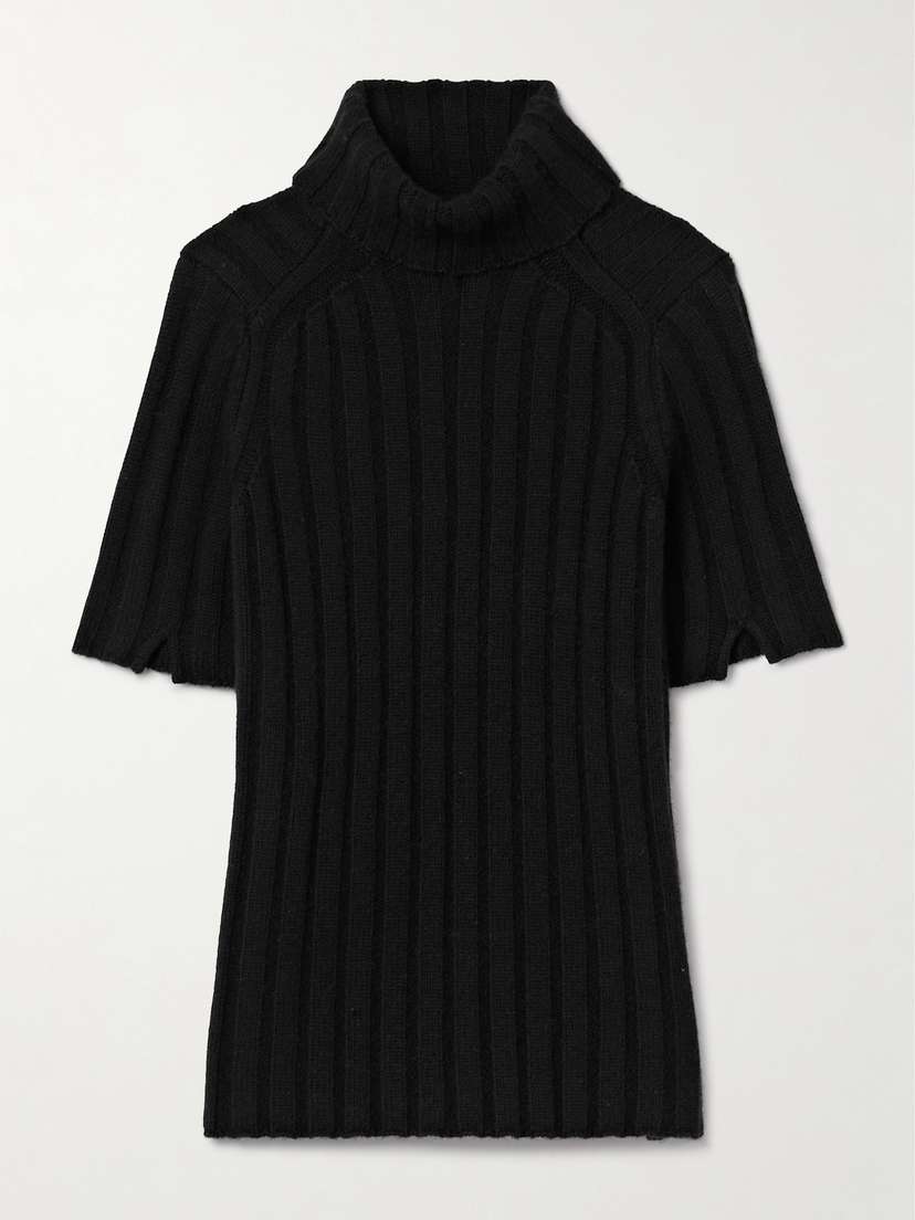 Proenza Schouler Starling Wool And Cashmere-blend Turtleneck Sweater