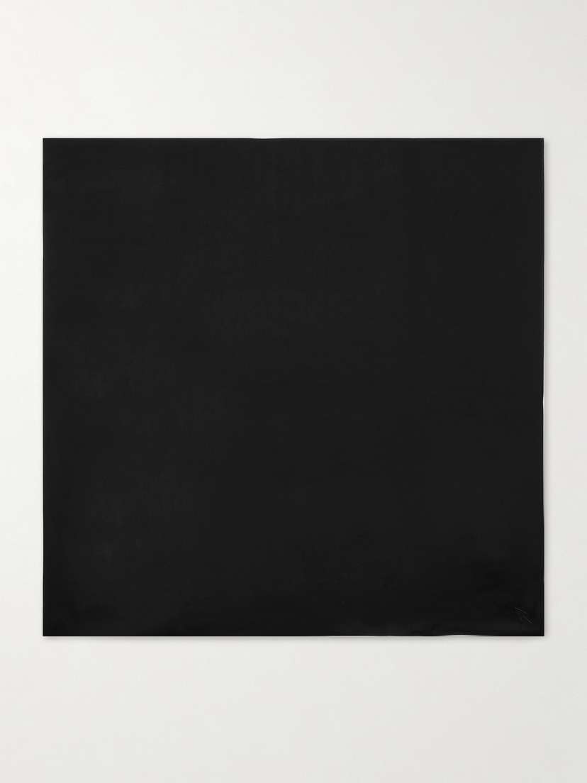 Another Tomorrow Embroidered Satin Scarf