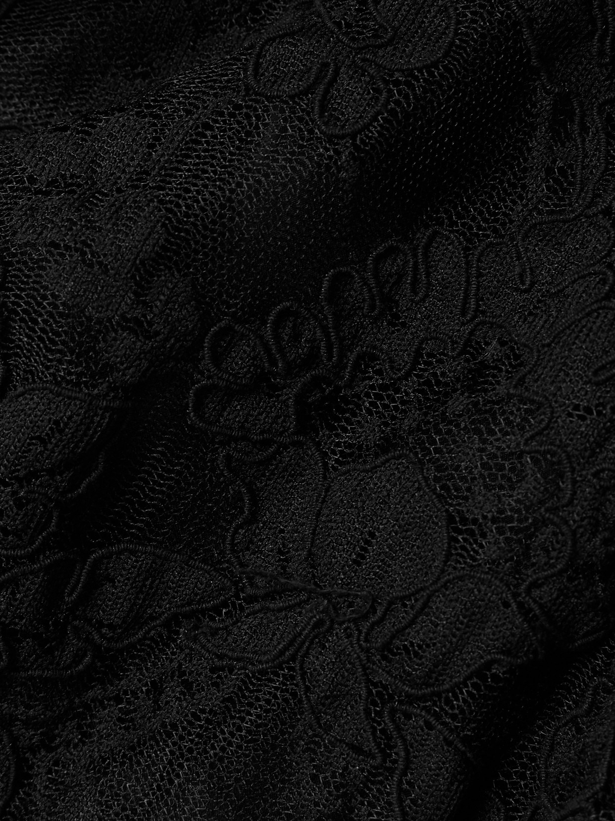 Crush Ruffled Plissé-Tulle And Corded Lace Top