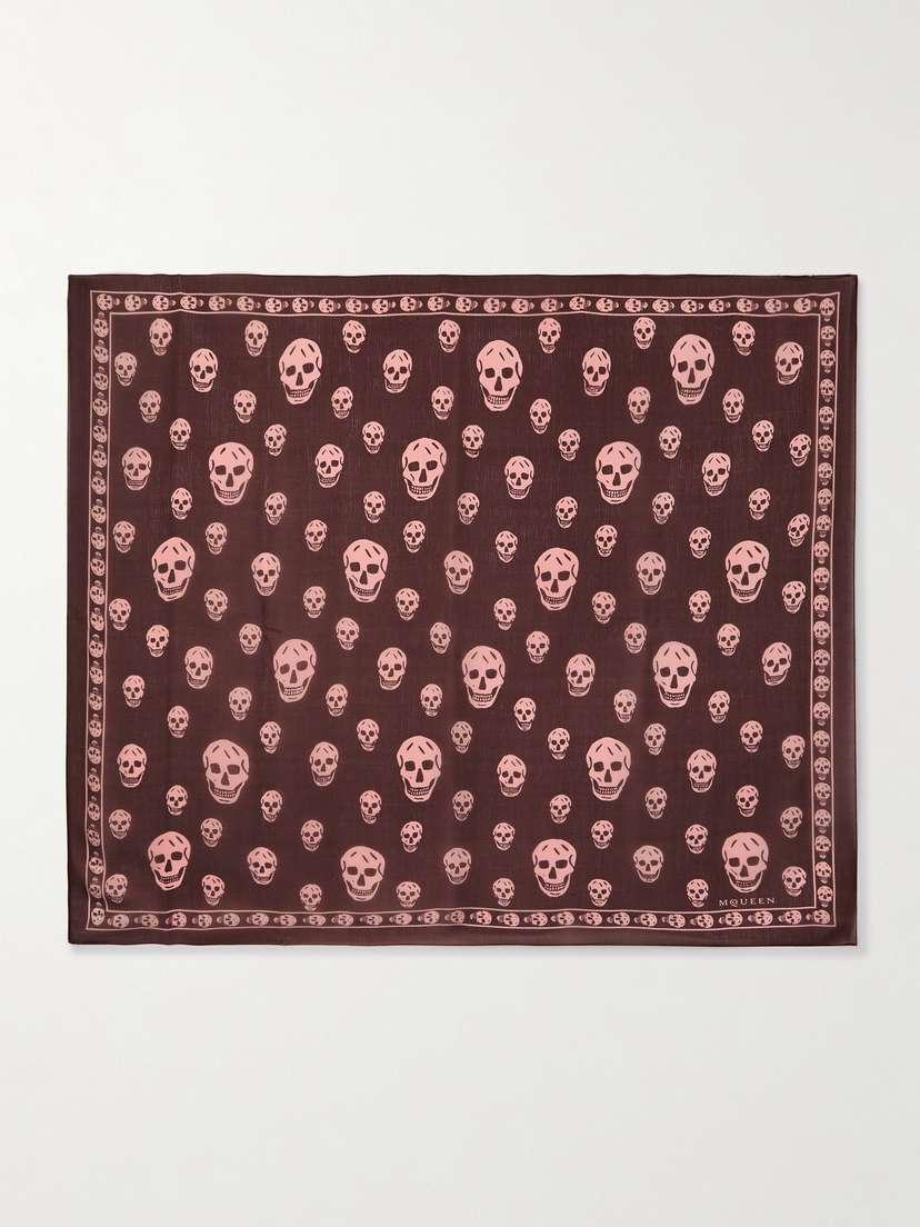 Alexander McQueen Printed Silk-chiffon Scarf