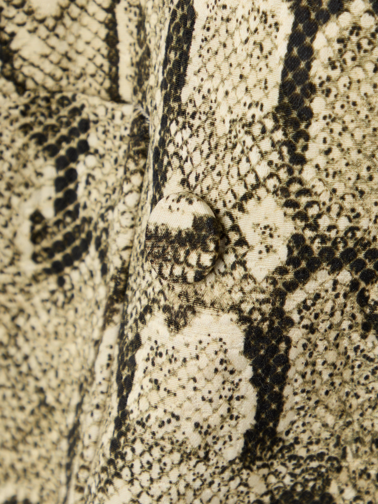 Dries Van Noten 1417 W.w. Jacket In Neutral