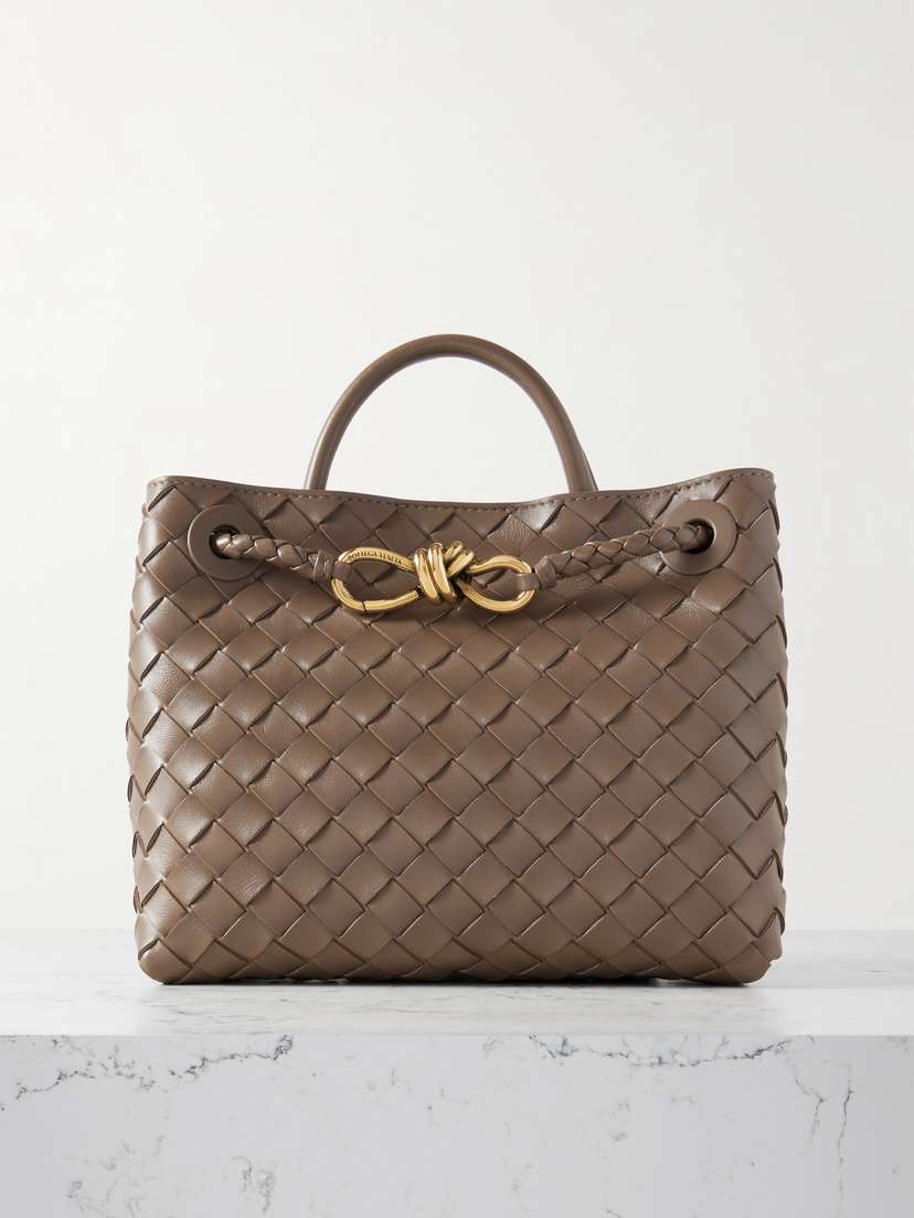 Bottega Veneta Andiamo Small Intrecciato Leather Tote