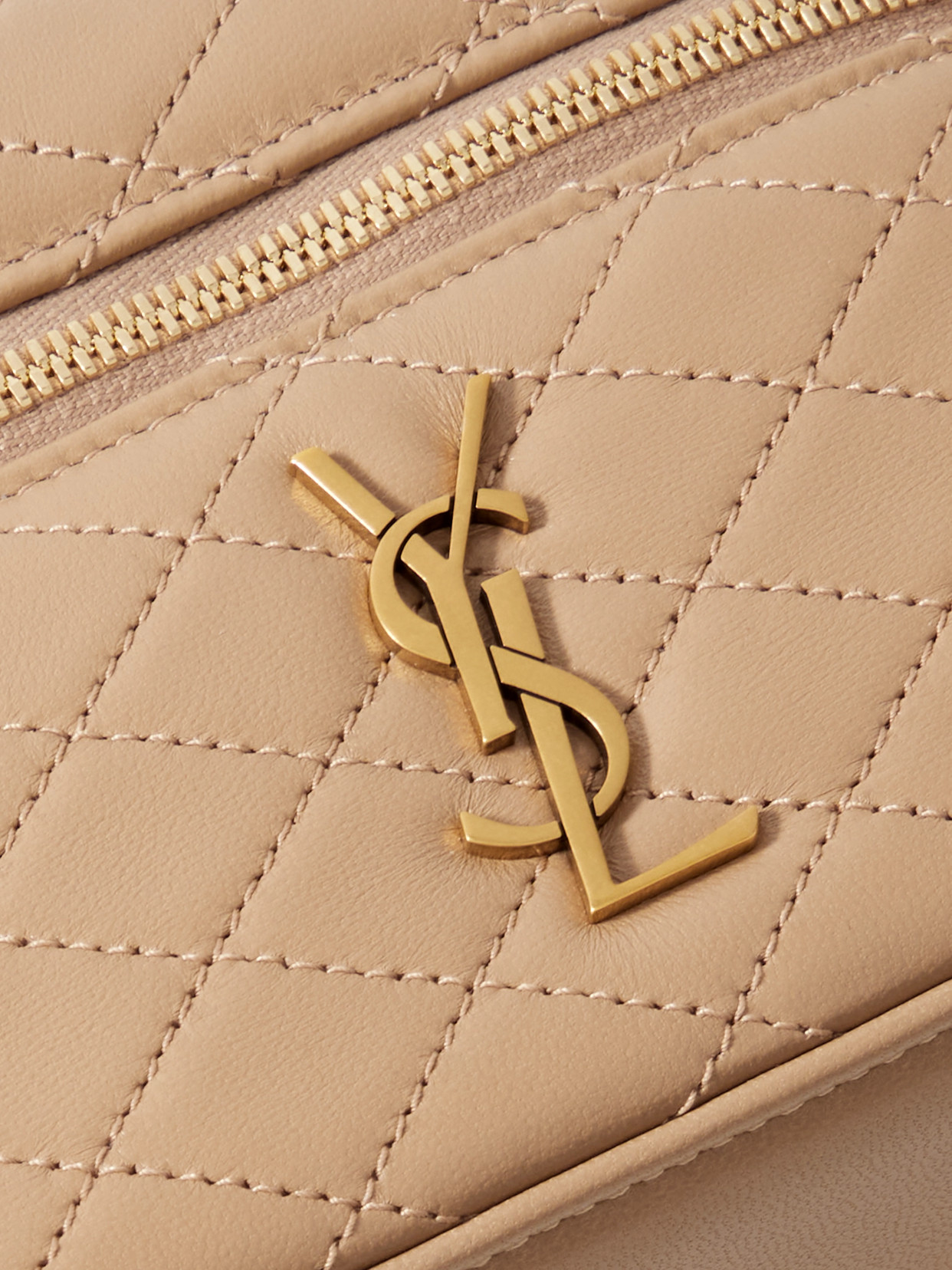 Saint Laurent Gaby Vanity Leather Shoulder Bag In Neutrals