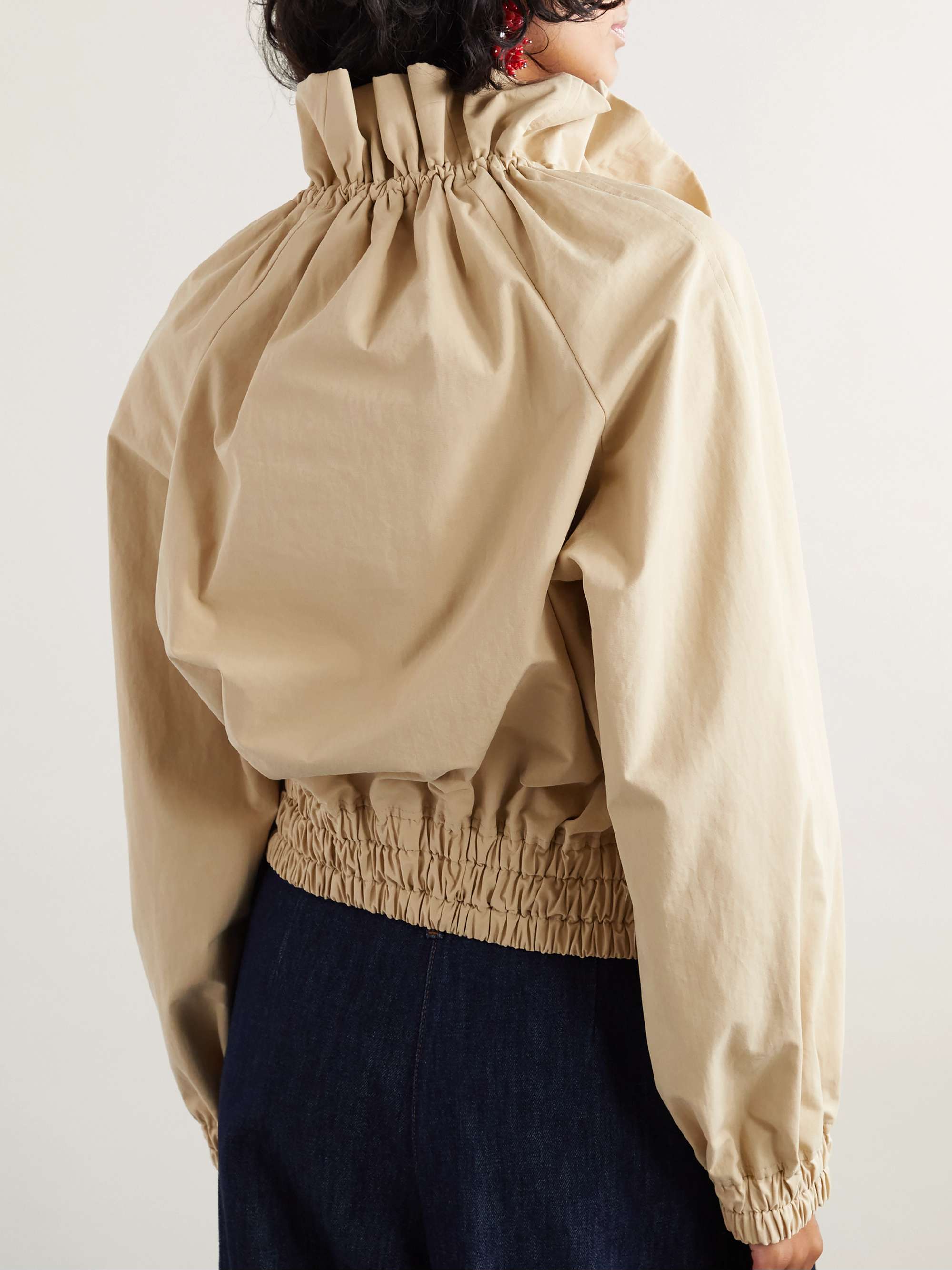 DRIES VAN NOTEN 