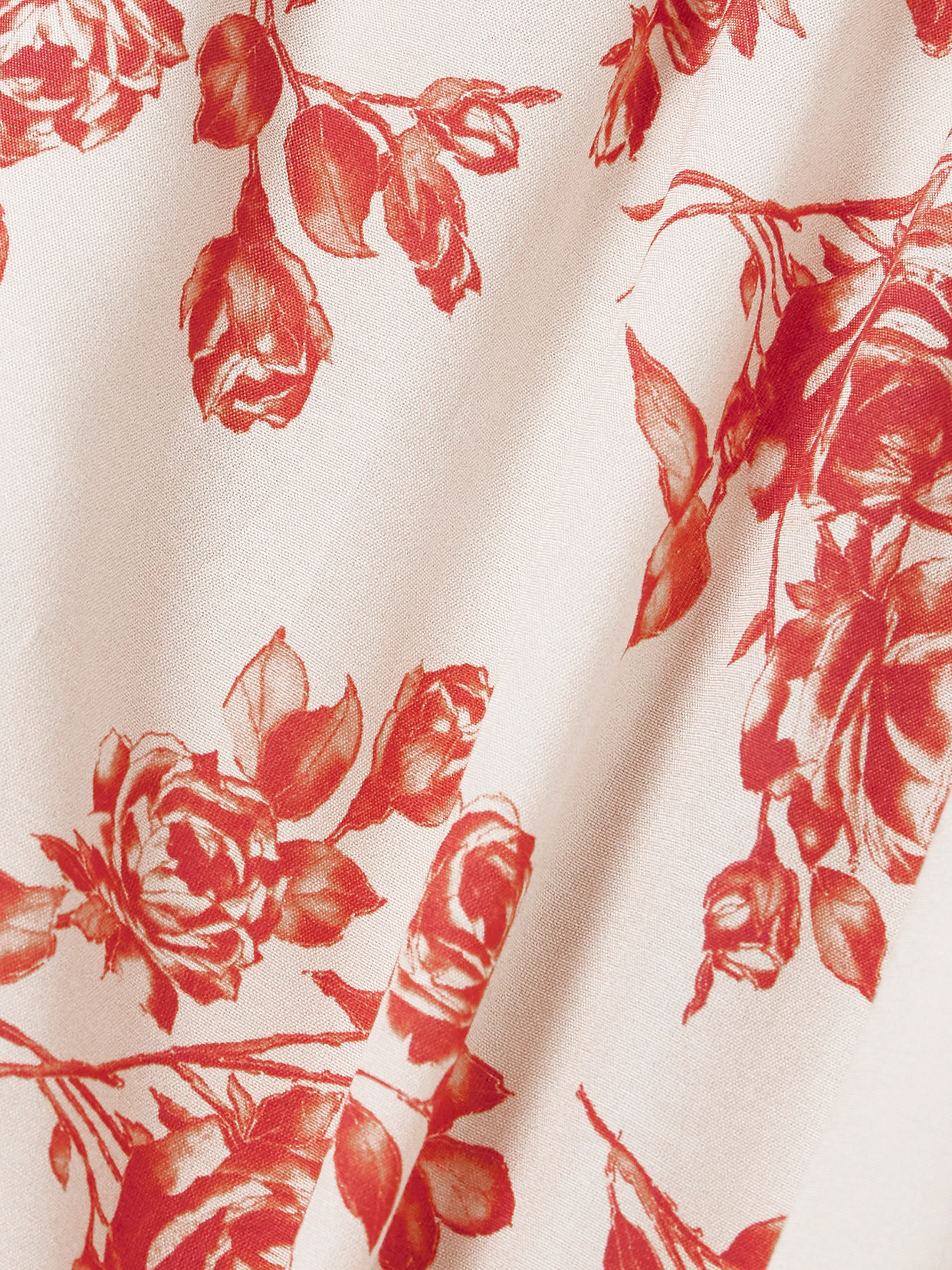 Magda Butrym Floral-print Silk And Cotton-blend Voile Shorts In Neutrals