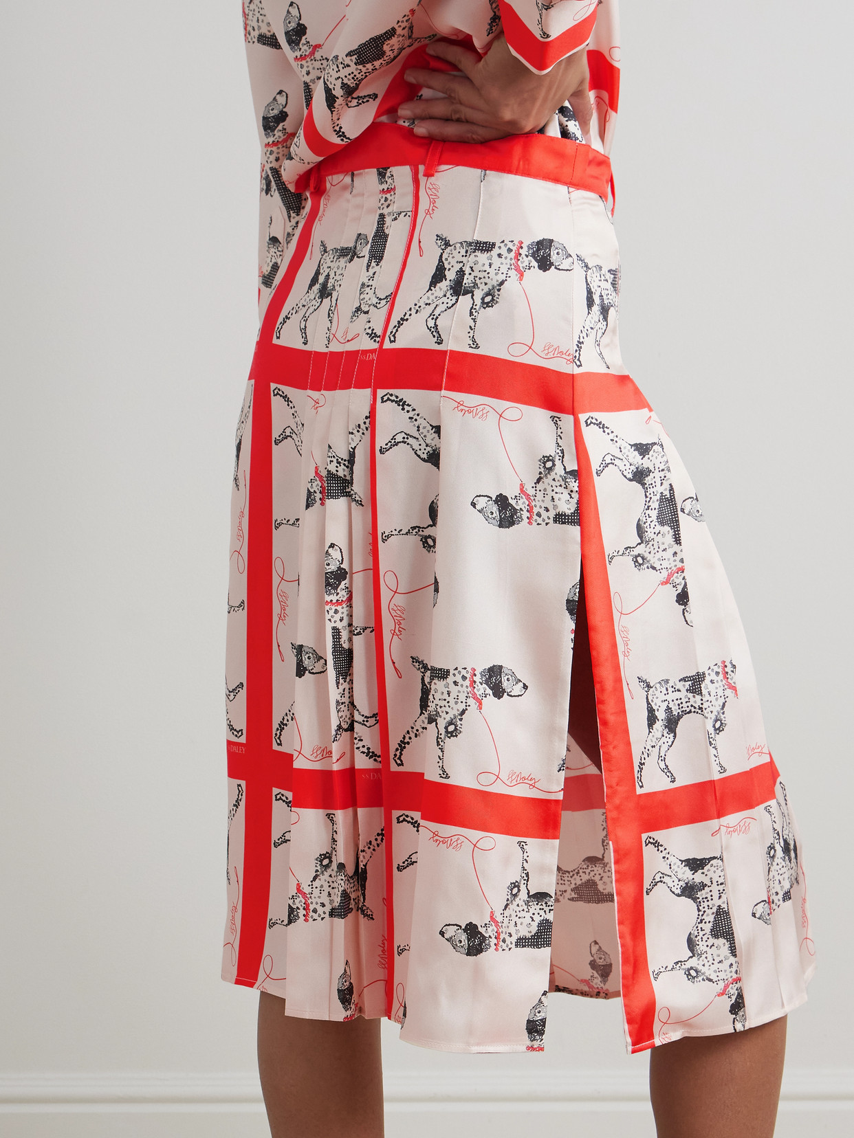 S.s. Daley Pointer Pleated Printed Silk-twill Midi Skirt