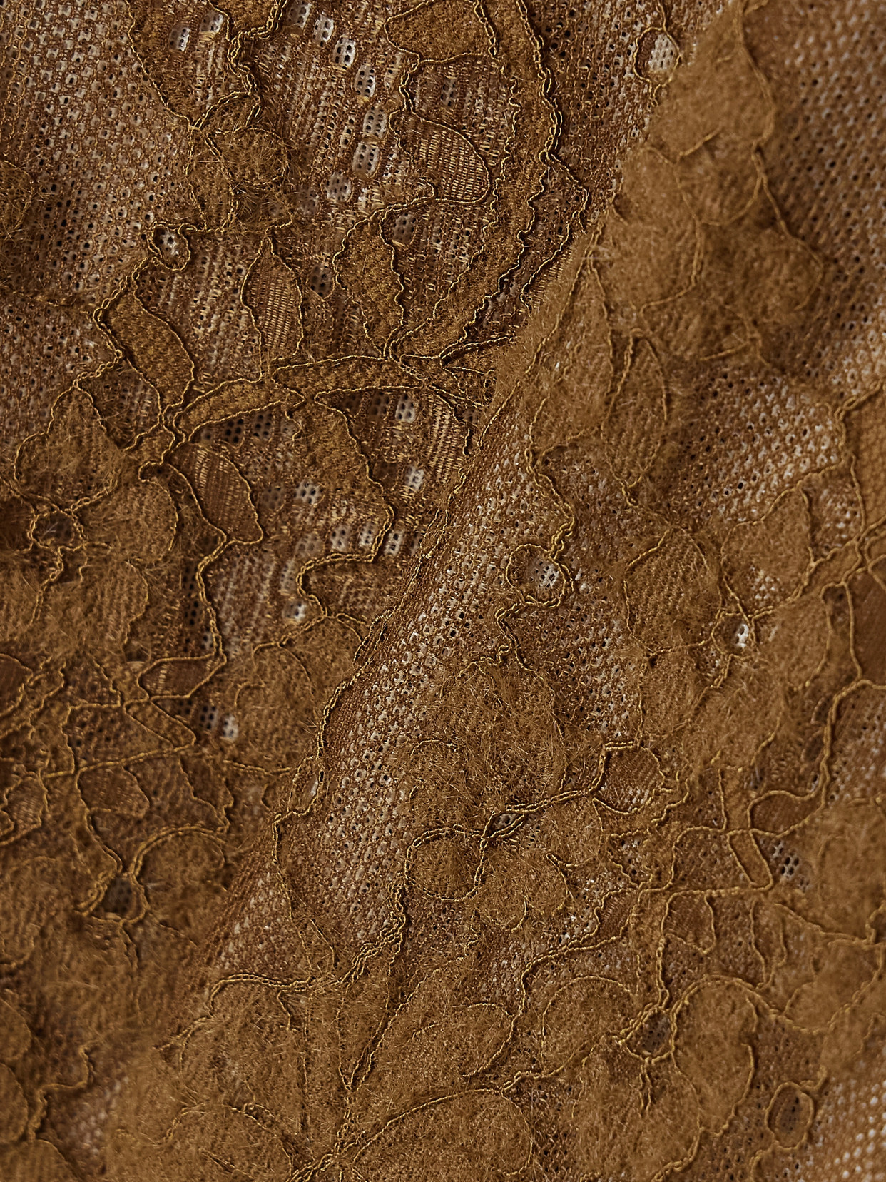 Zimmermann Stretch-corded Lace Bodysuit In Brown
