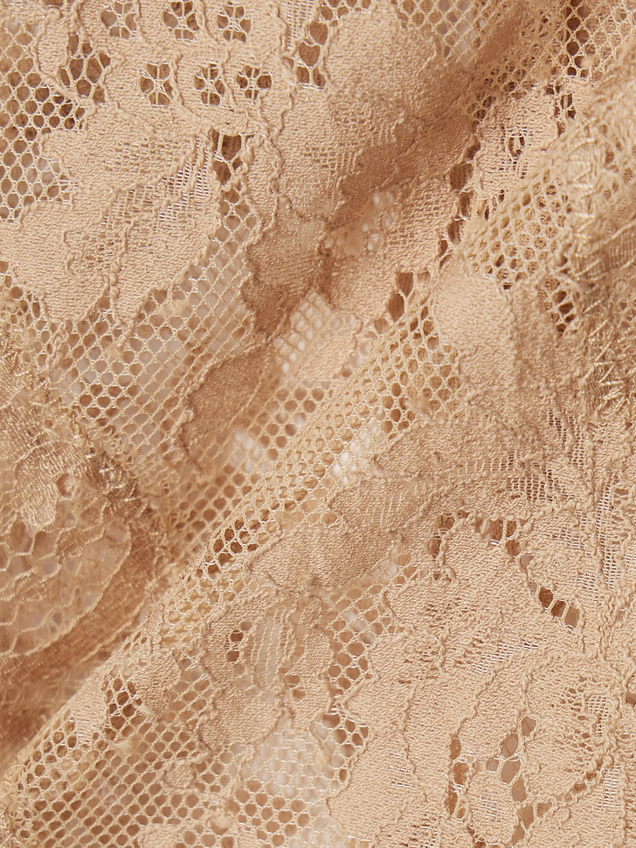 Zimmermann Illustration Velvet-trimmed Lace Bodysuit In Cream
