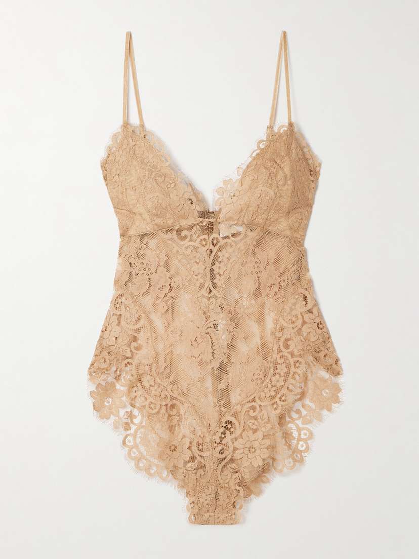 Zimmermann Illusion Velvet-trimmed Lace Bodysuit