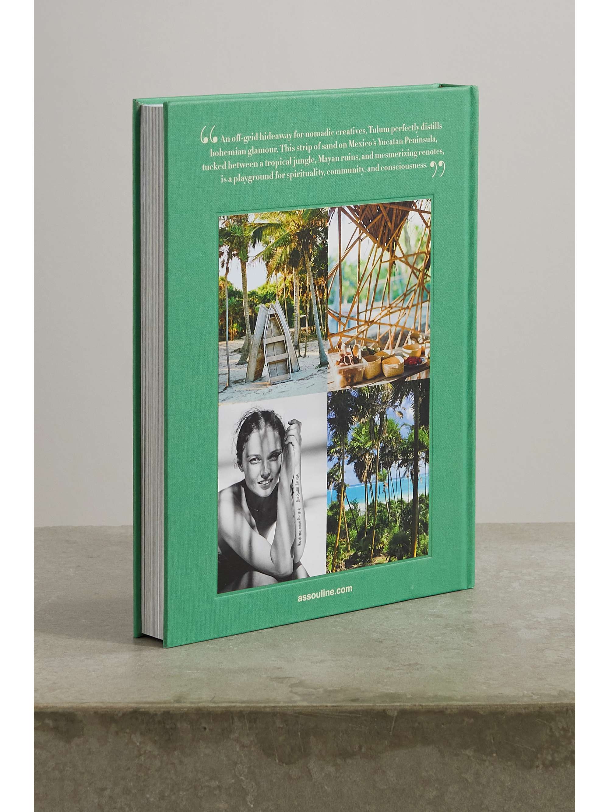 ASSOULINE Palm Beach by Aerin Lauder hardcover book