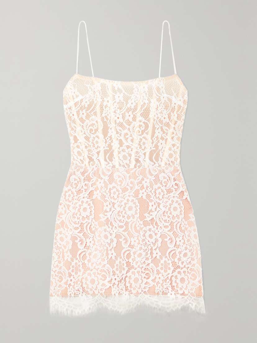 RASARIO Lace And Tulle Mini Dress
