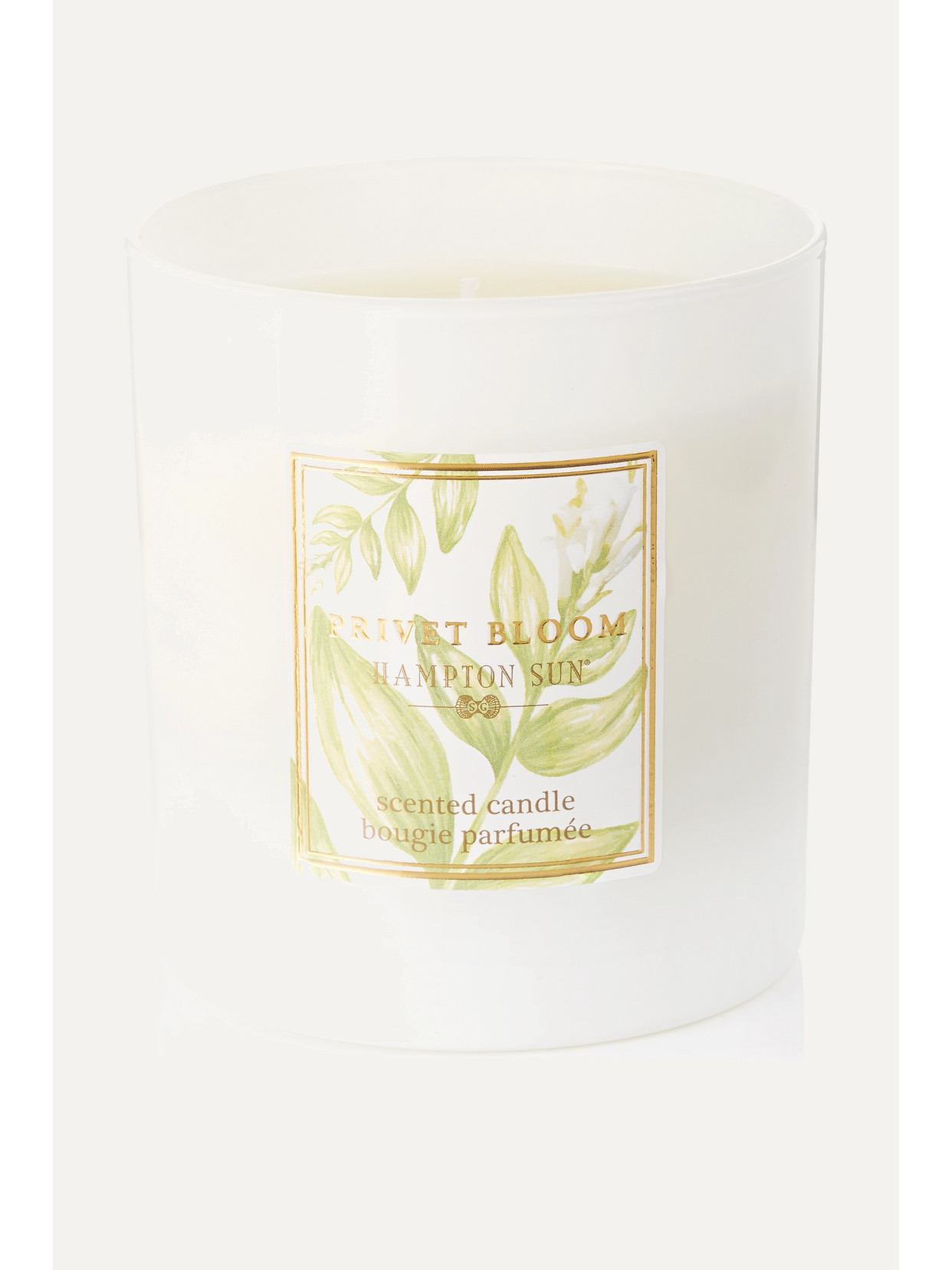 HAMPTON SUN PRIVET BLOOM SCENTED CANDLE, 215G