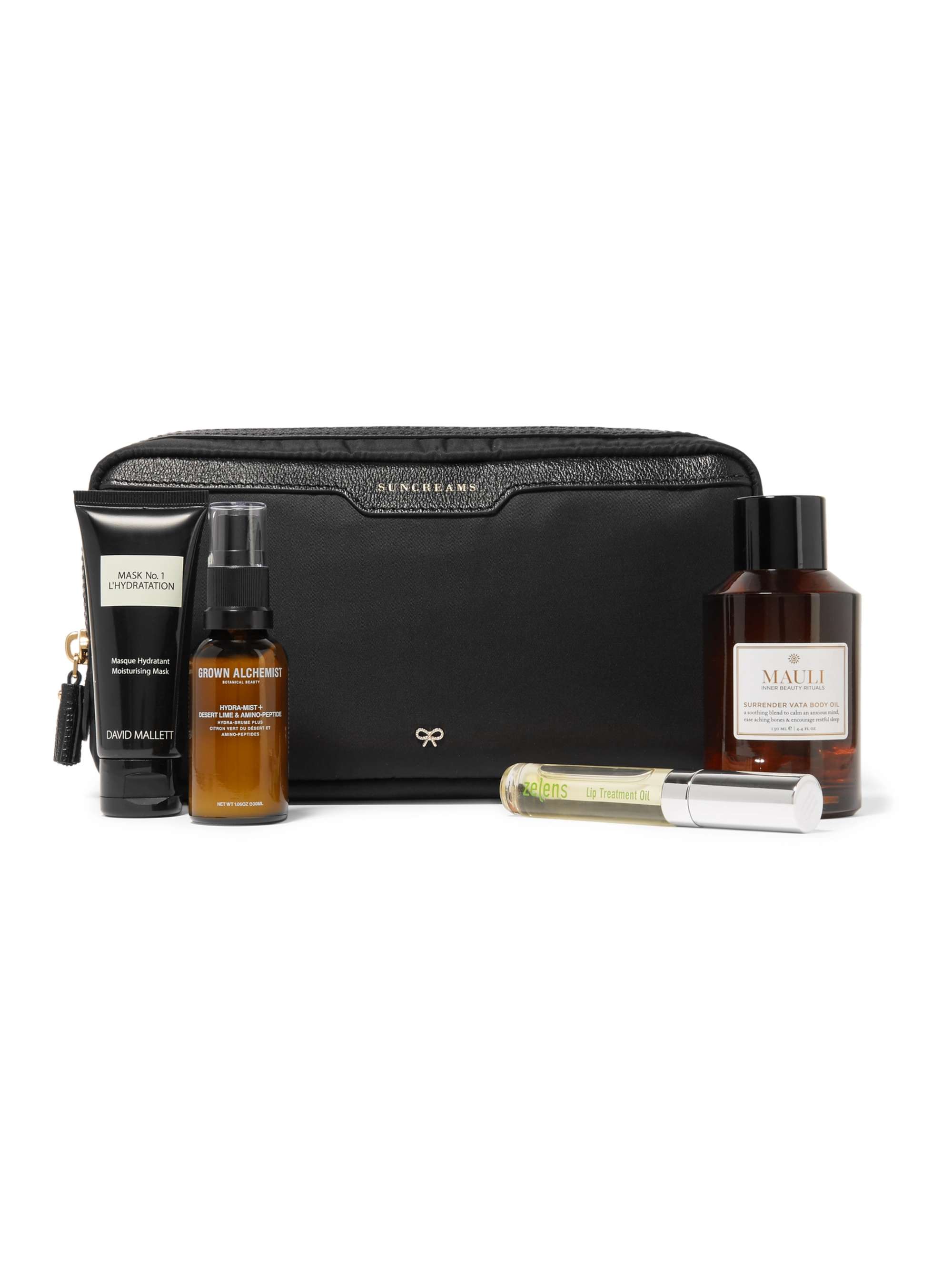 ANYA HINDMARCH Suncreams leather-trimmed shell cosmetics case